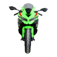 MRA SCREEN ZX-4R/ZX-4RR 2023 ONWARD RACE GREY (R)